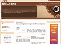 IBSI-US.COM Affordable Custom Web site design Tampa Florida